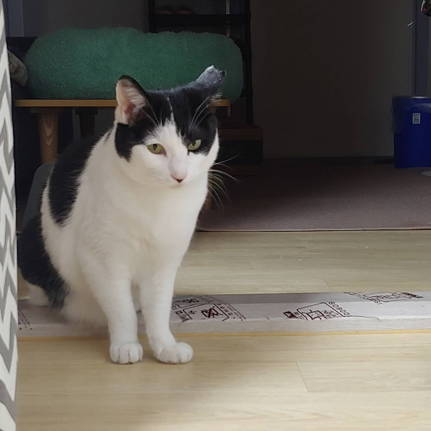 탈삼진왕 손혁수