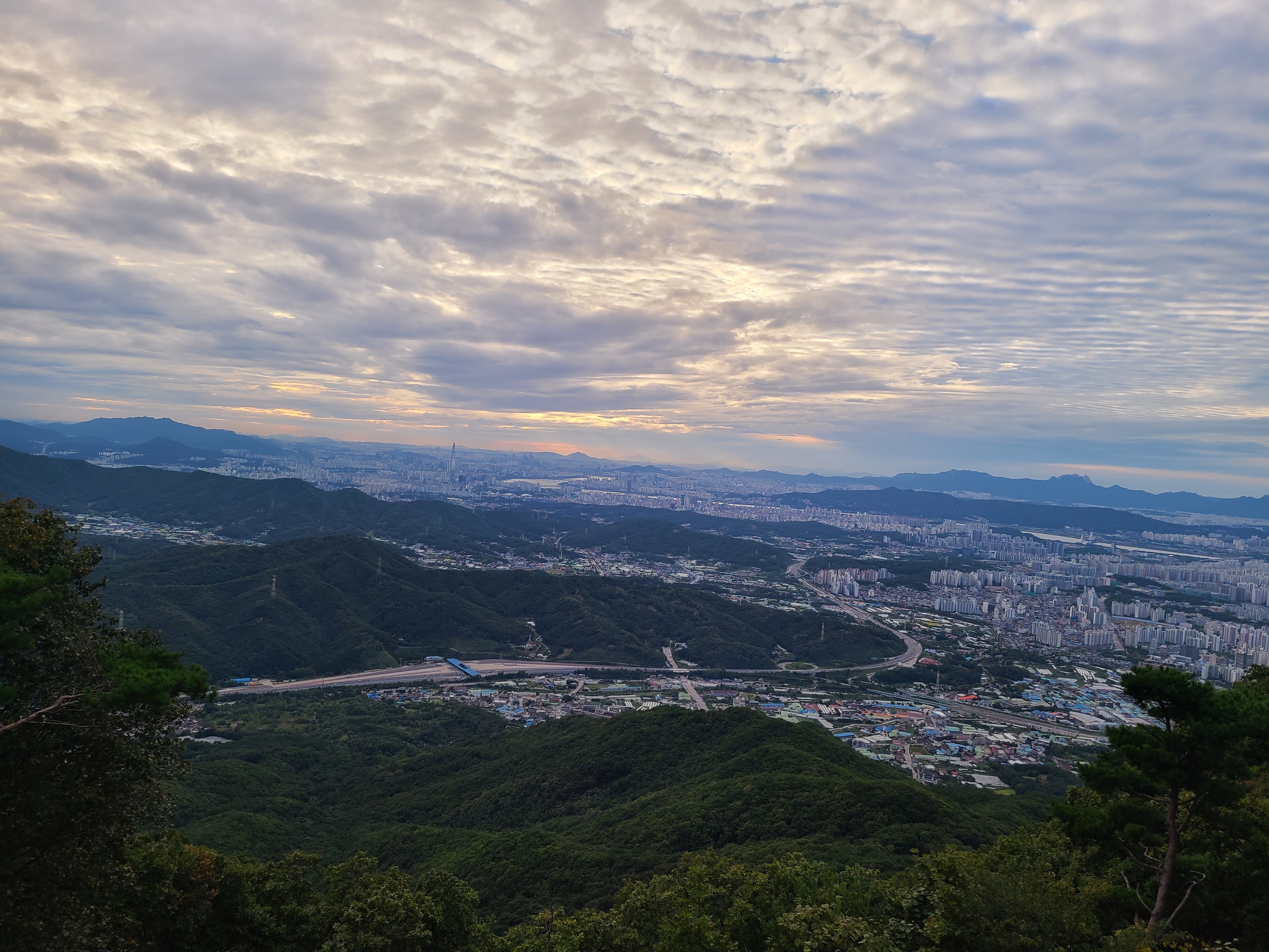 독자