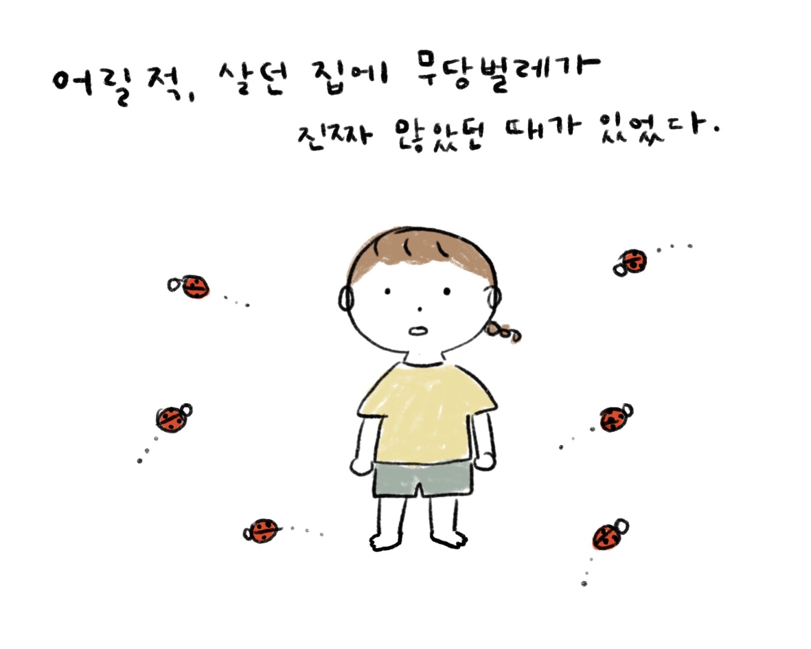 무당벌레, 귀엽지 않아 - 인간은 필사적이다