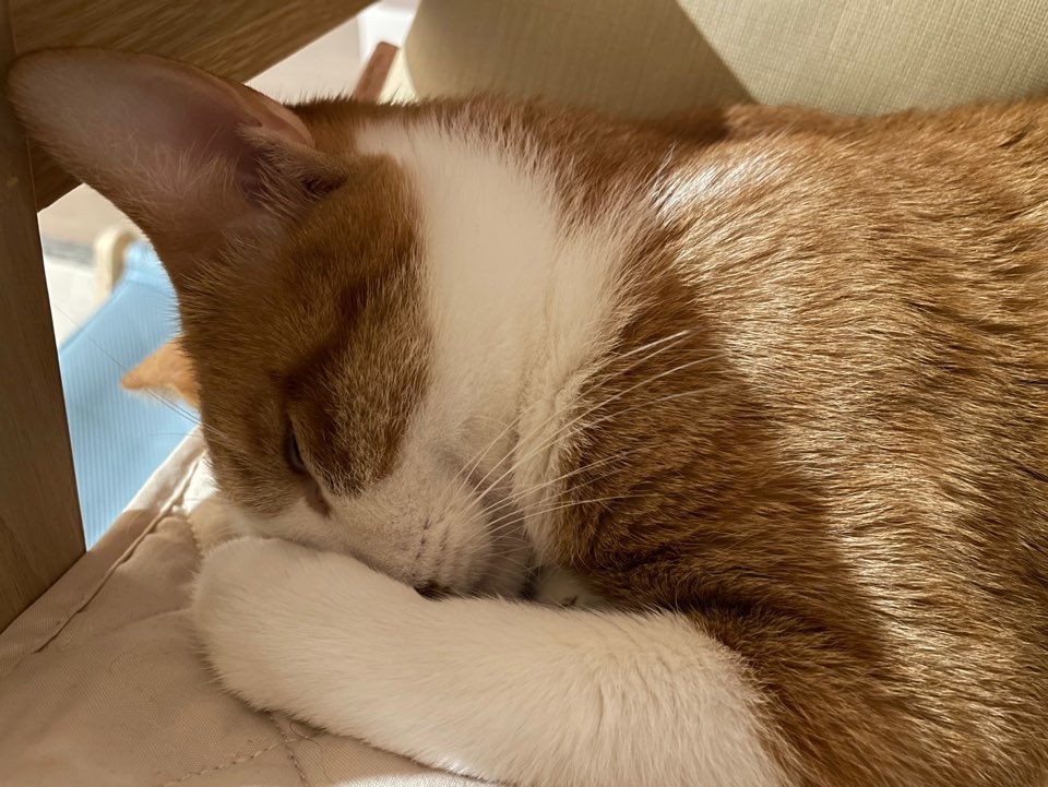 오름의 가을 구름