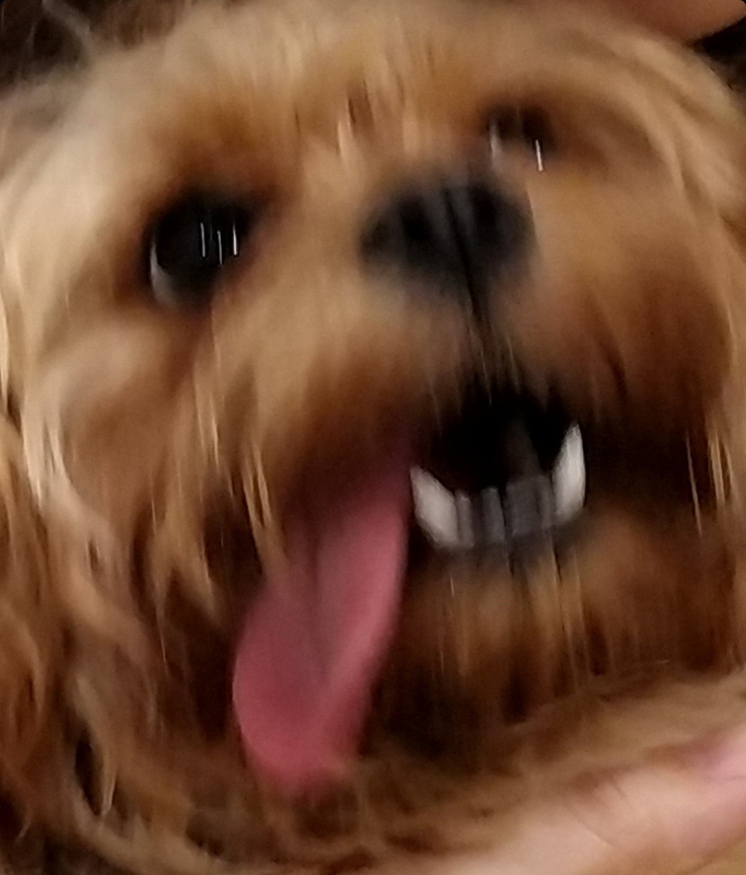 최지영 Choi Jee Young