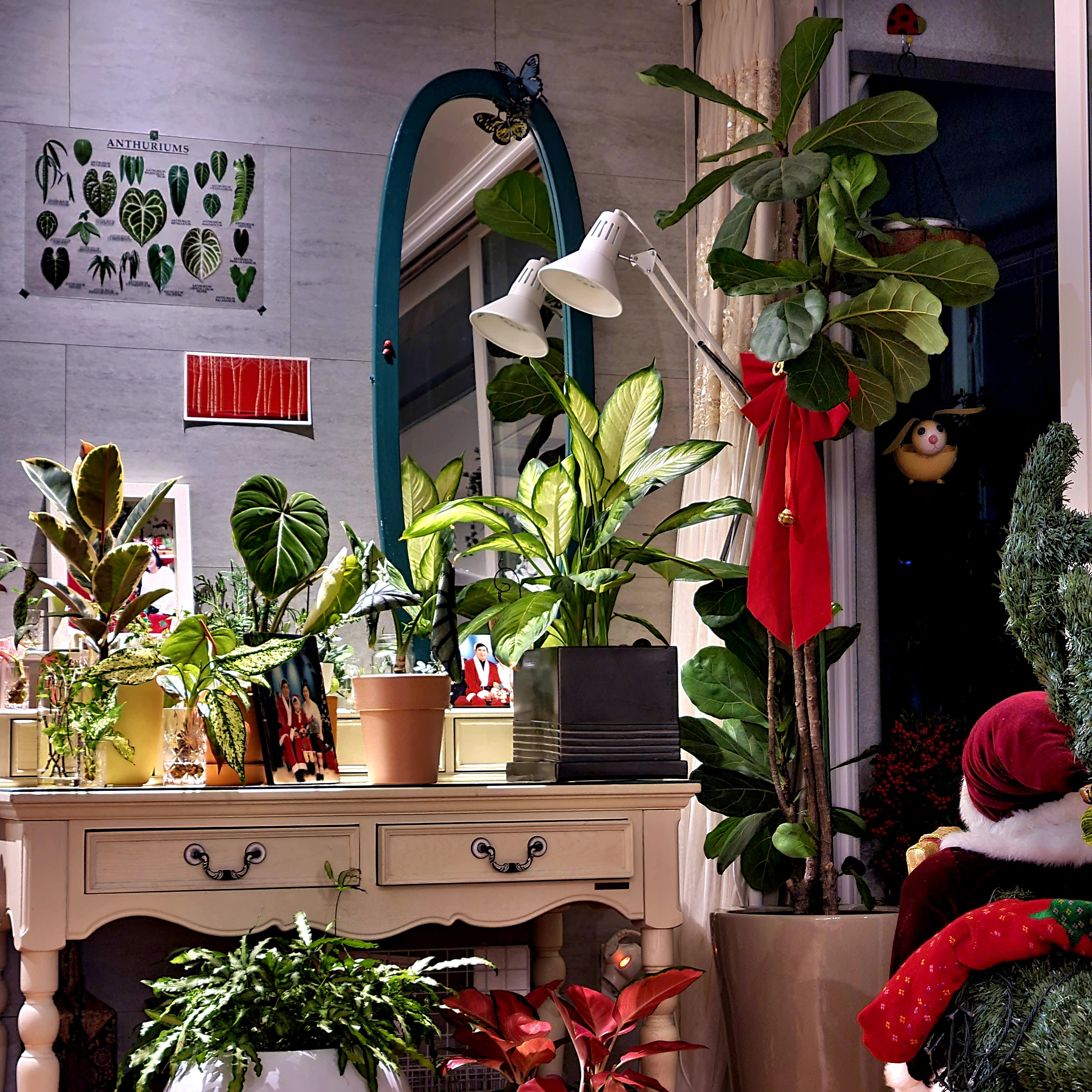 슈퍼스타 어반정글베란다가드너