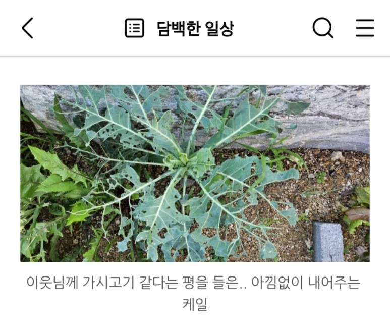 연이밥상 이미지