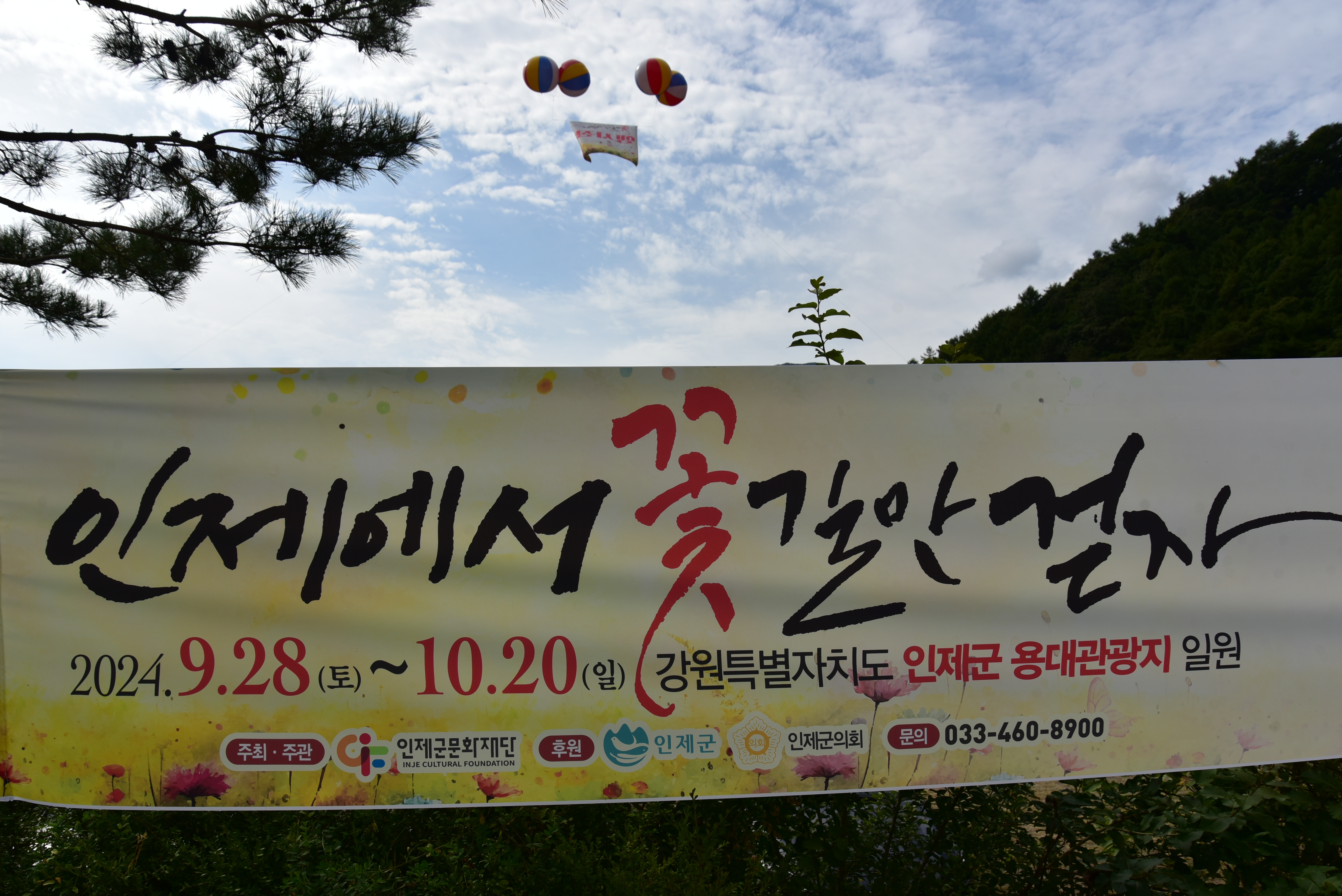 꽃길만걷자 이미지