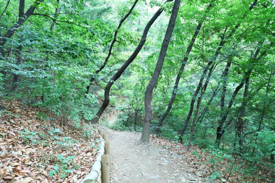 서울 둘레길 5코스 서울 둘레길 5코스 