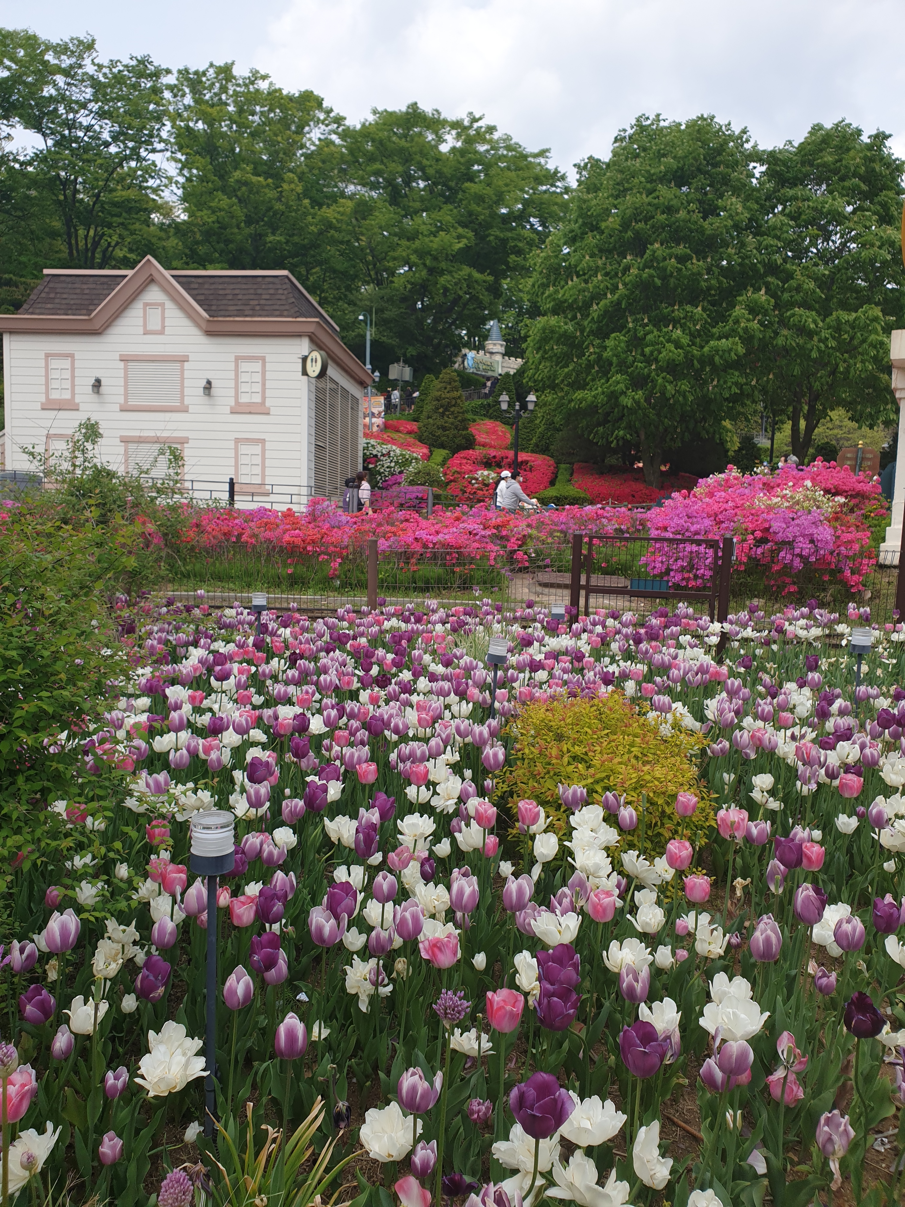 내가 내 편이 되어줄께