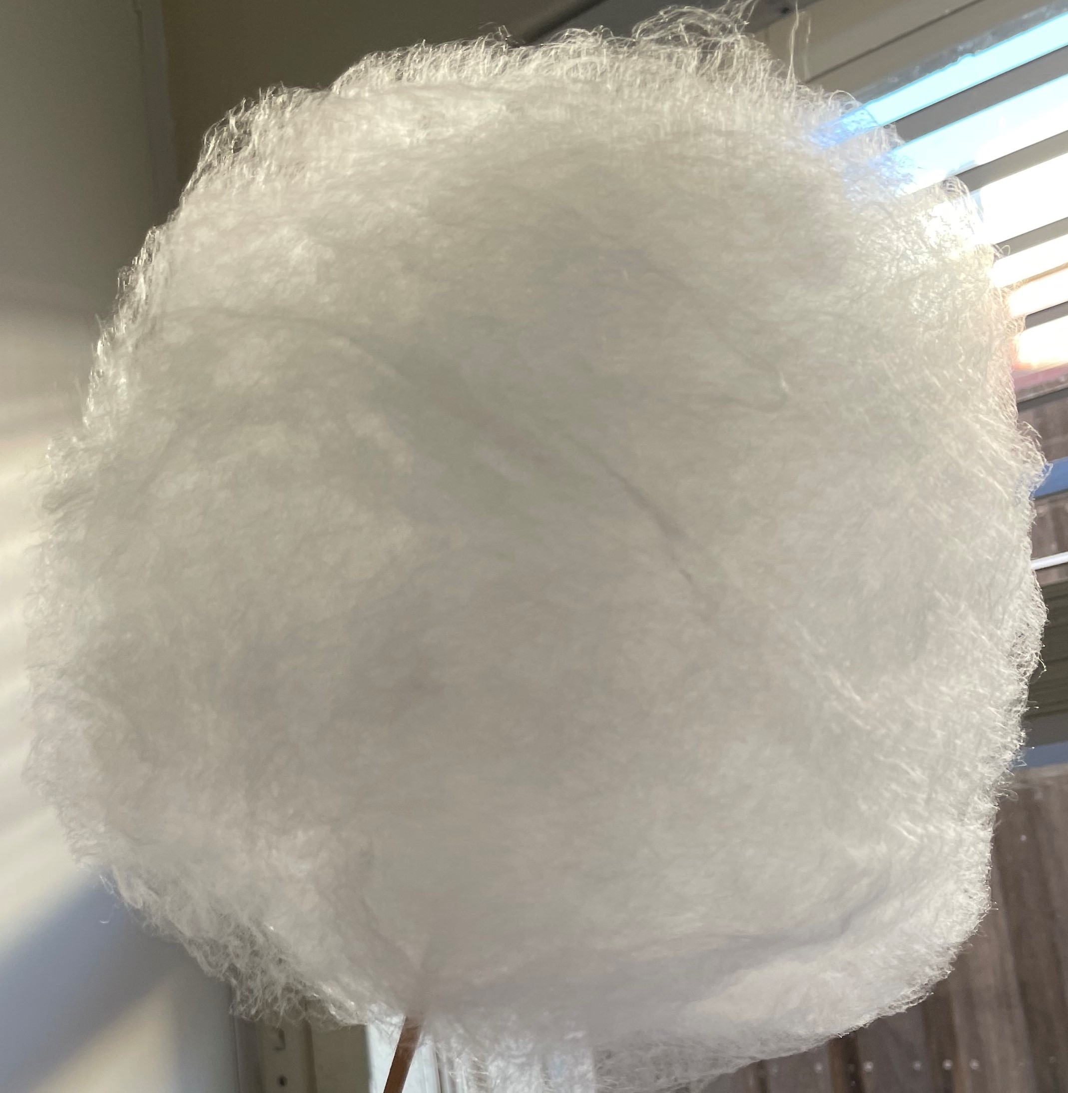 까마귀골 매발톱