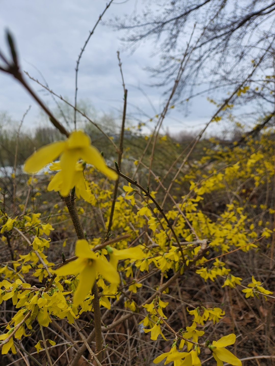 인생에 비풍초똥팔삼 찾기