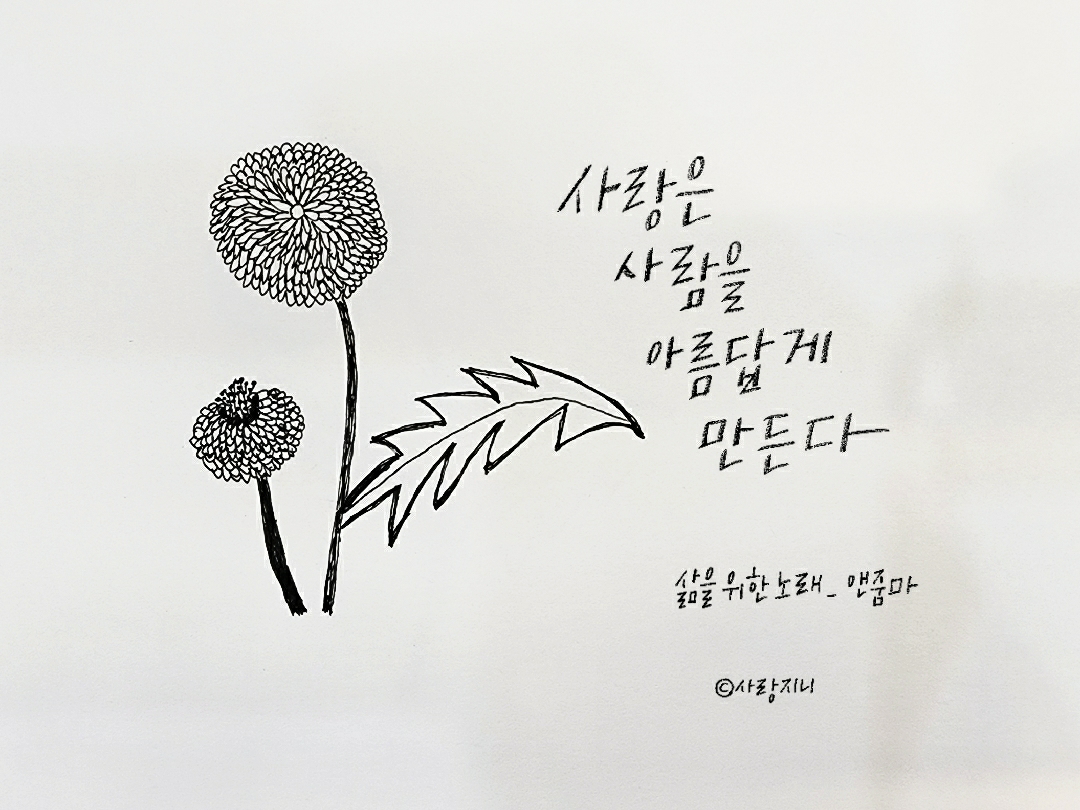 꽃아줌마 이미지