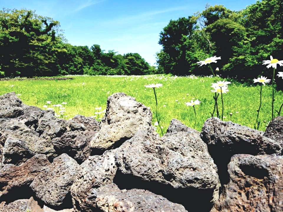 나의 사랑하는 것들