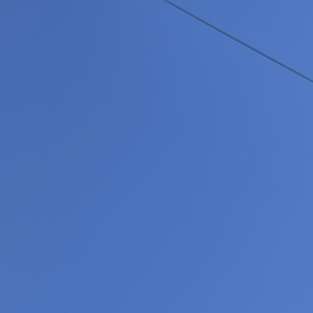 popodo