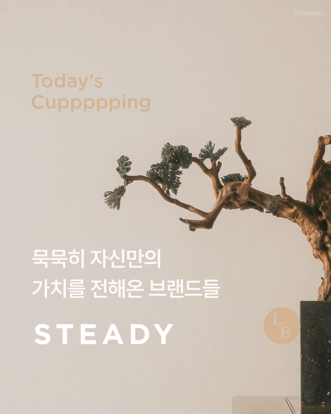 (주)락고재 이미지