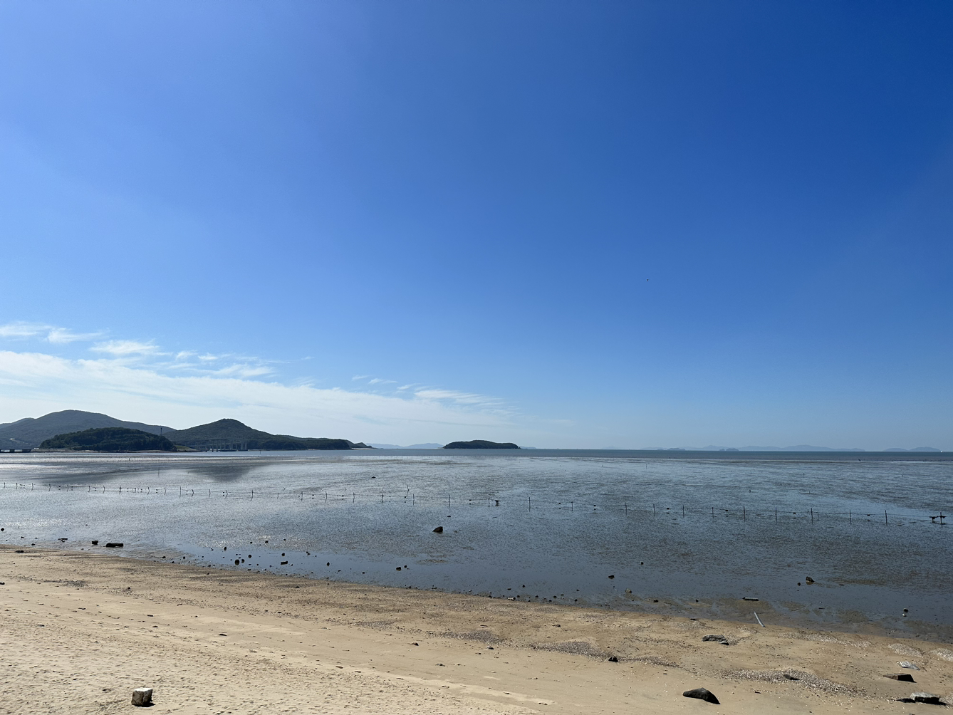 그럼에도 불구하고