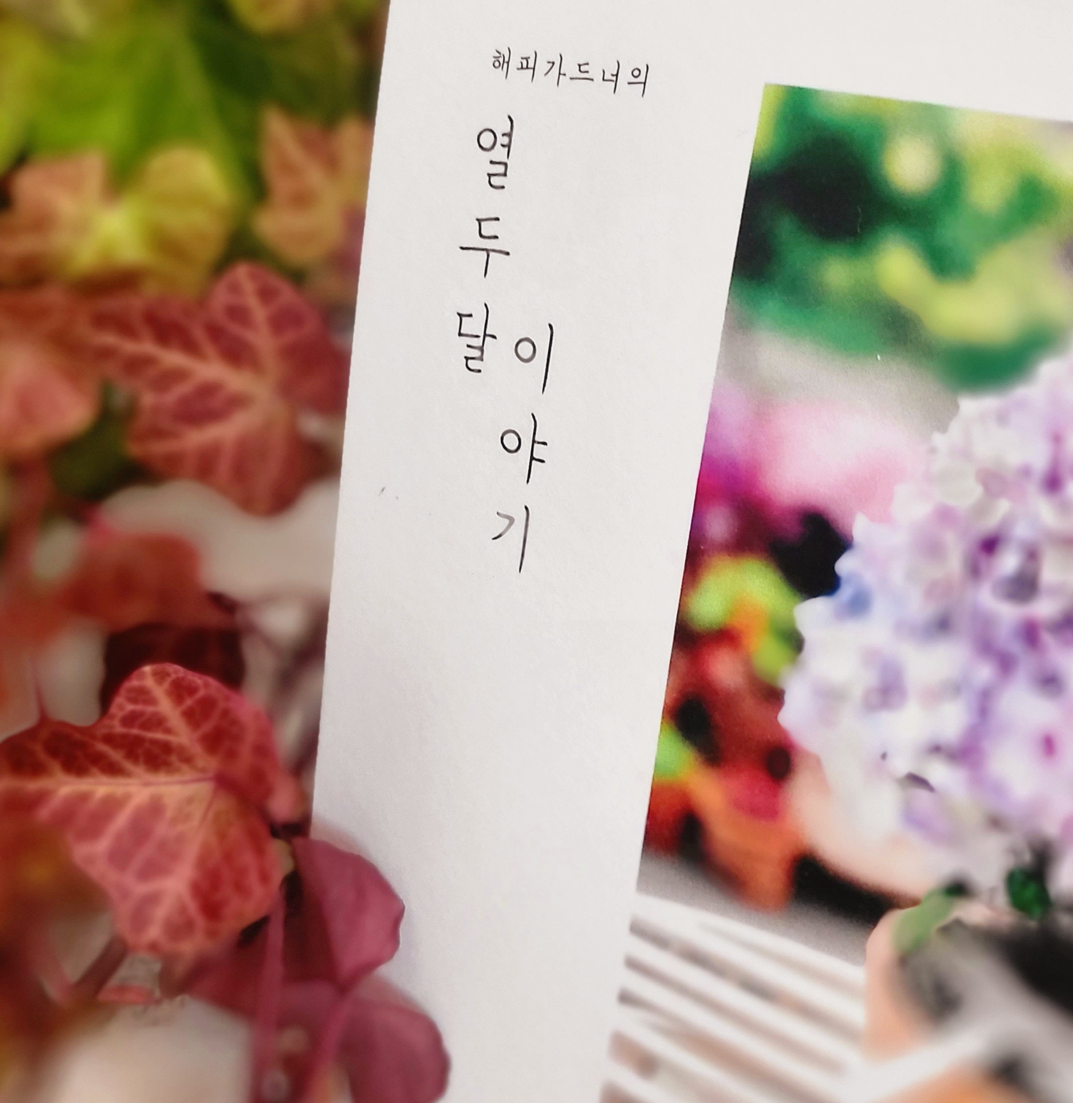 가드너의열두달 이미지