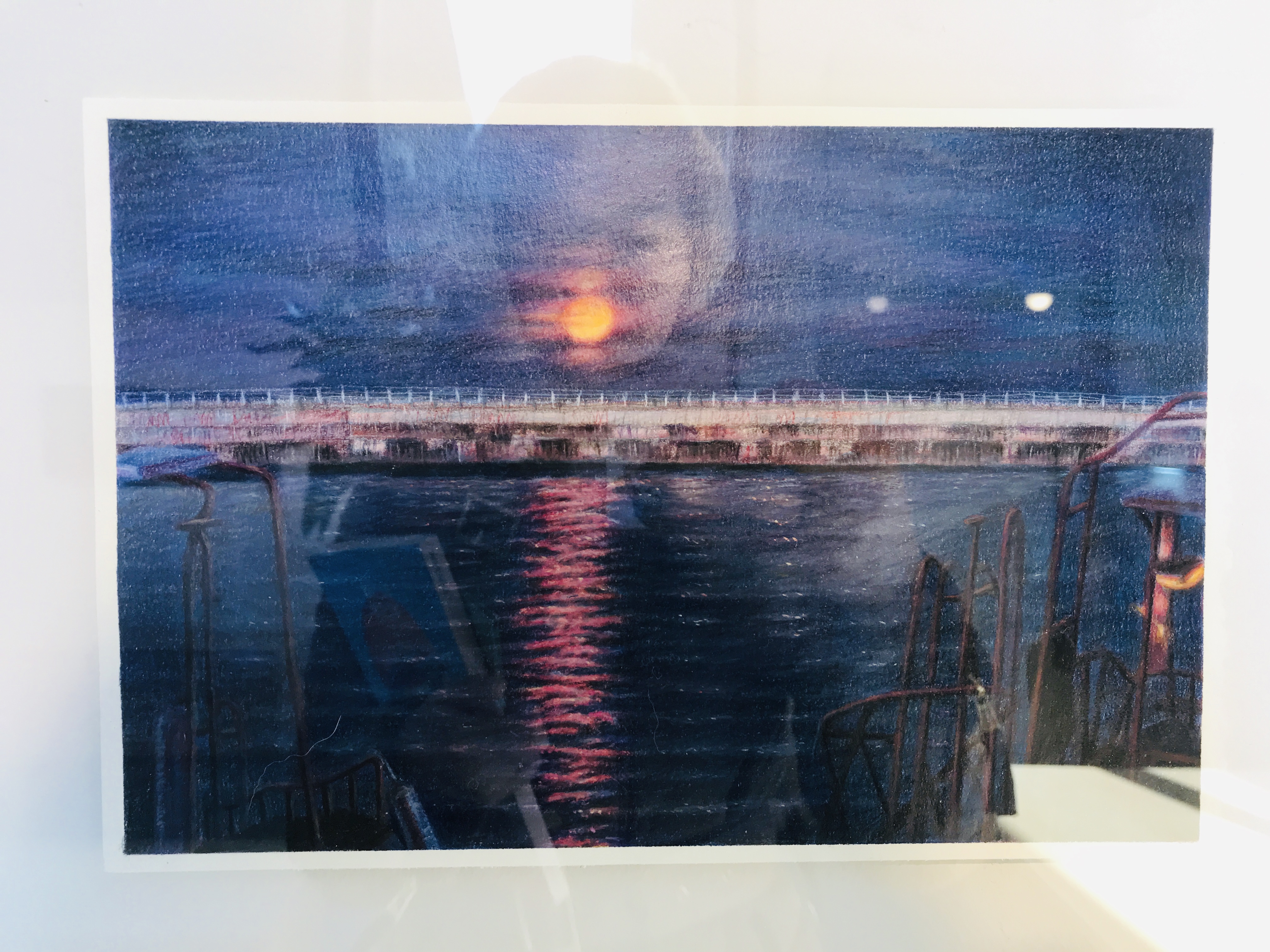 다정한 사이보그