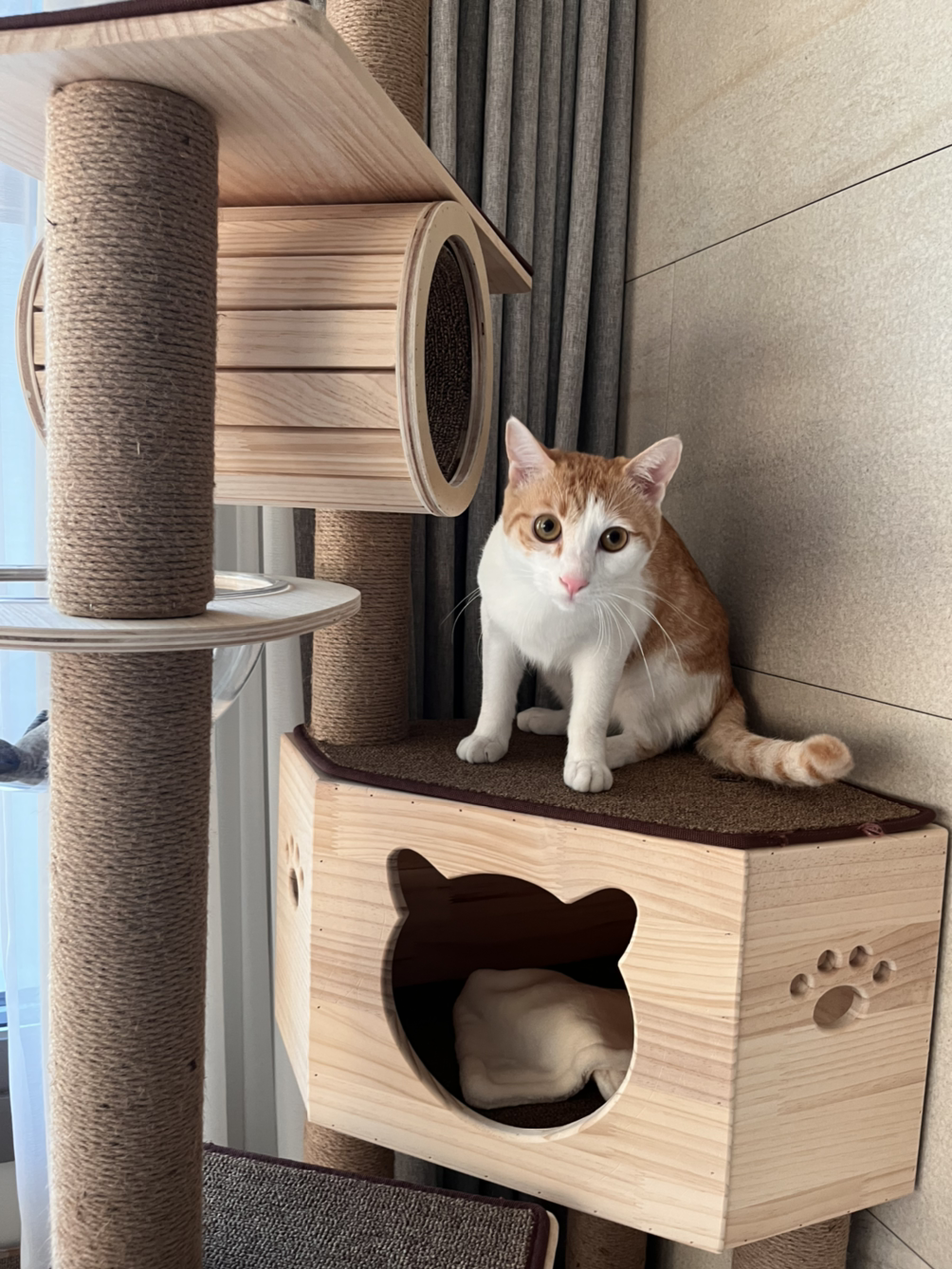 스트리밍라이프