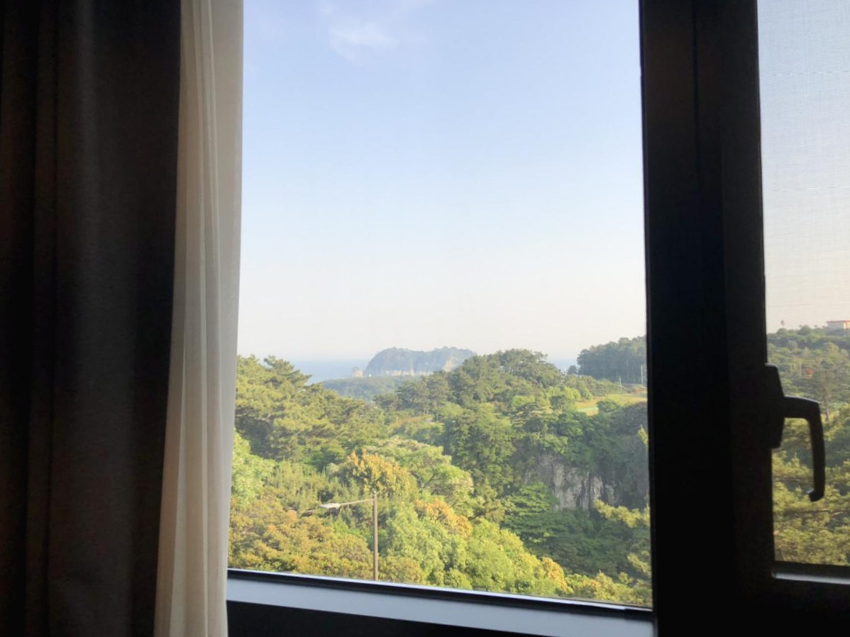 04화 5월의 제주, 안덕에서 서귀포로