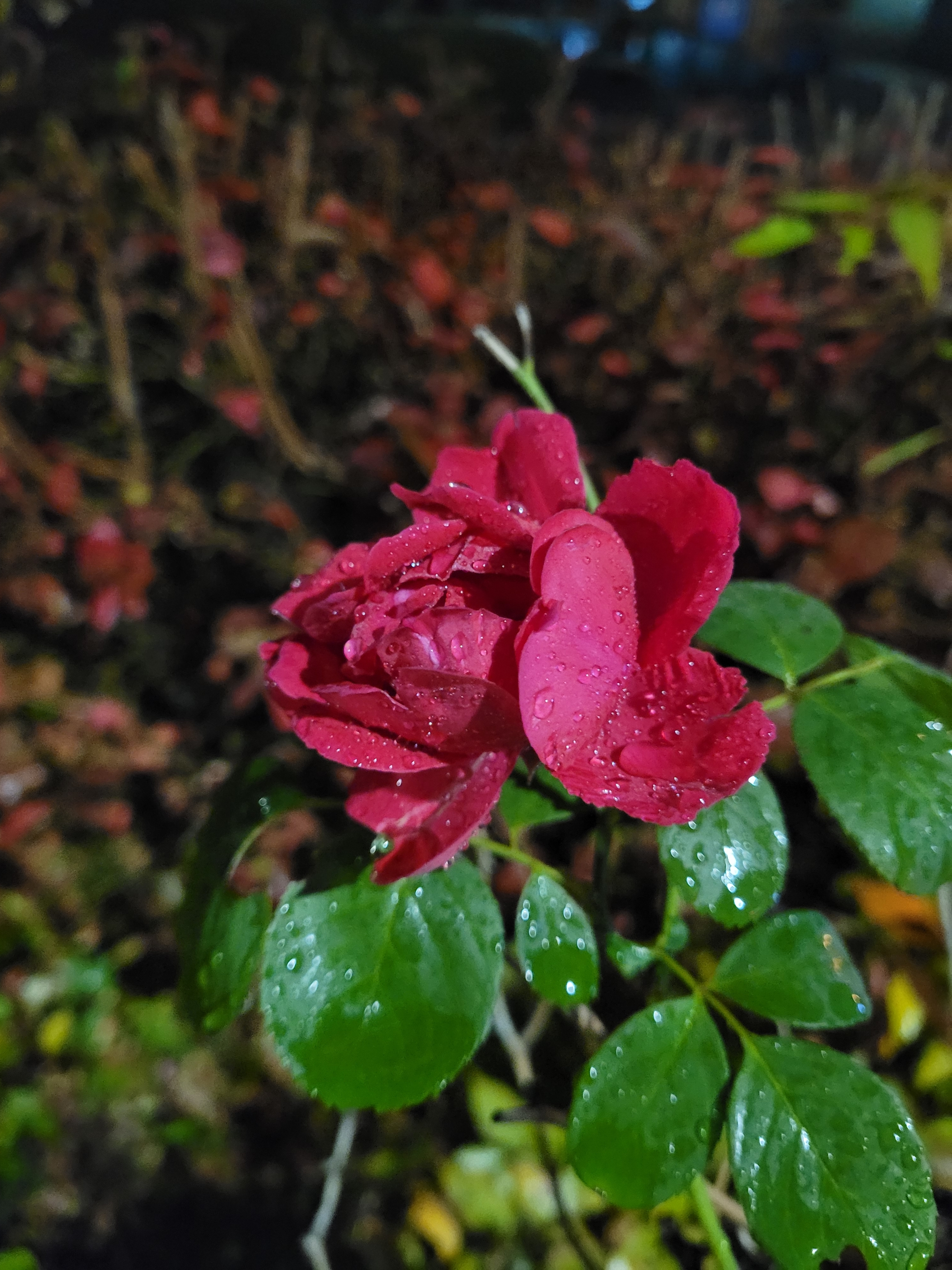 생글과 글답의 글쓰기 이야기