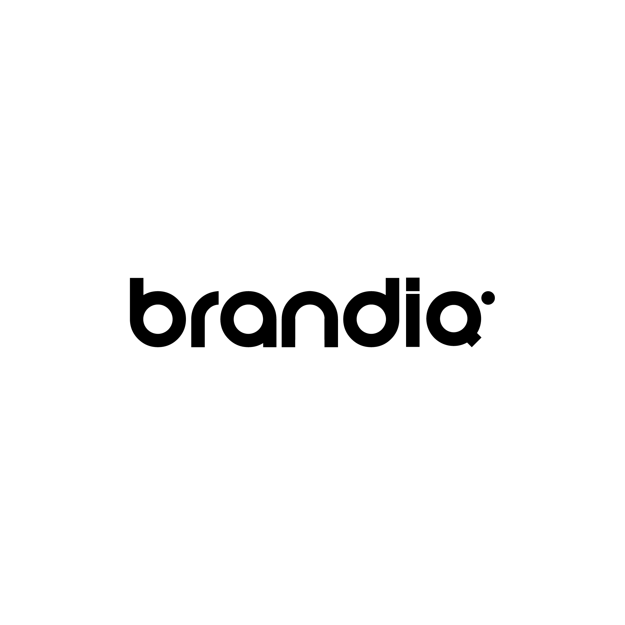 Creative Partner Brandiq