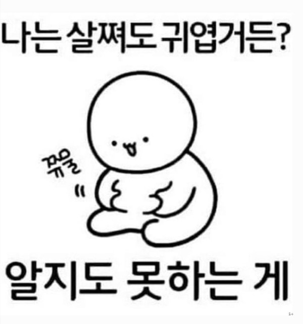 황금낑깡