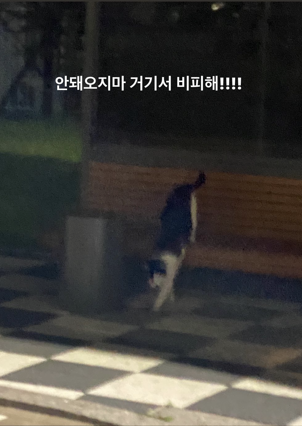 15 행삼이와 춘식이