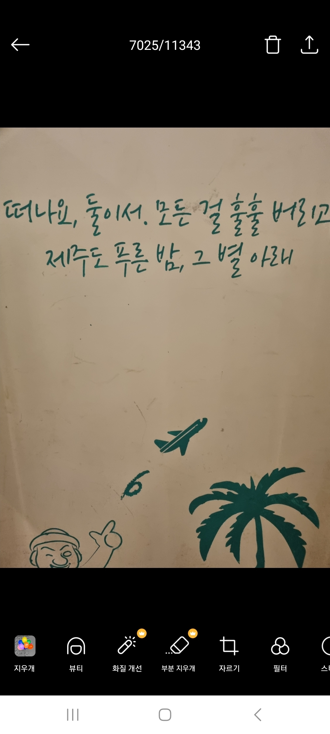 파닥파닥