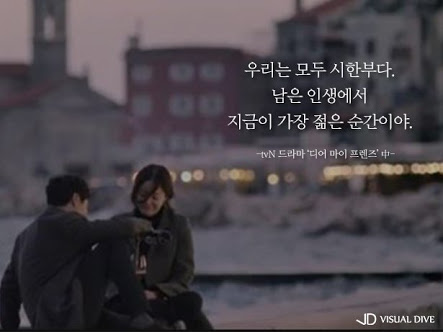 해바라기 루시아