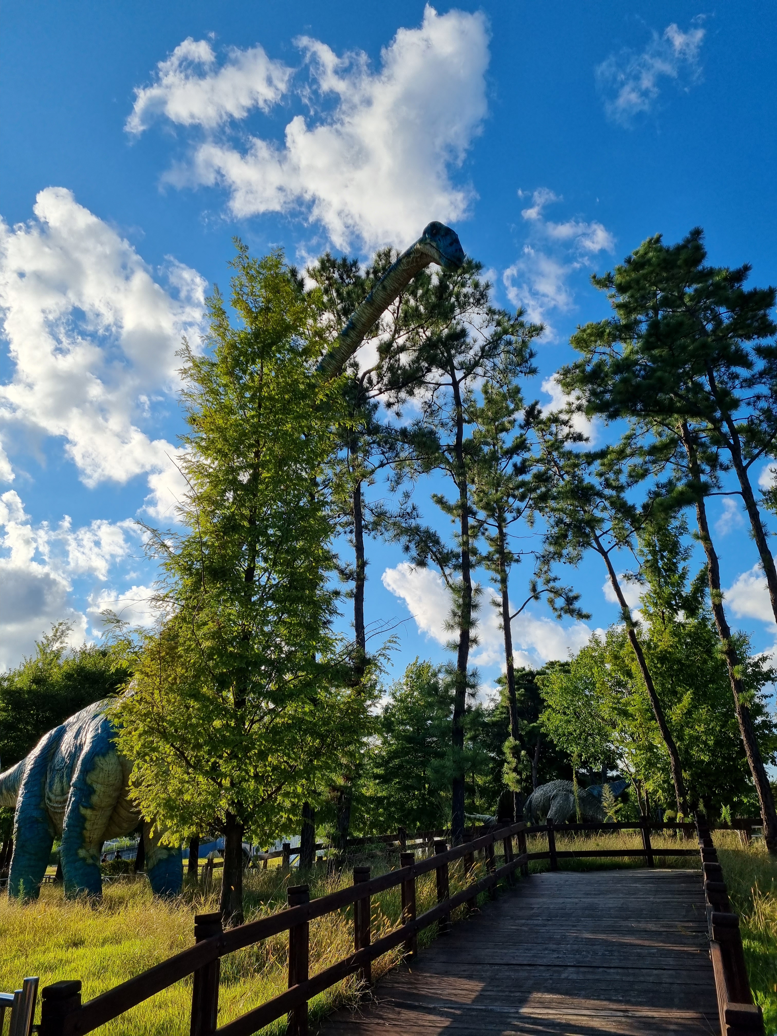 잔망스러운양평댁