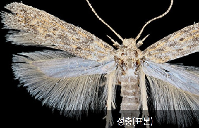 토마토의원 이미지