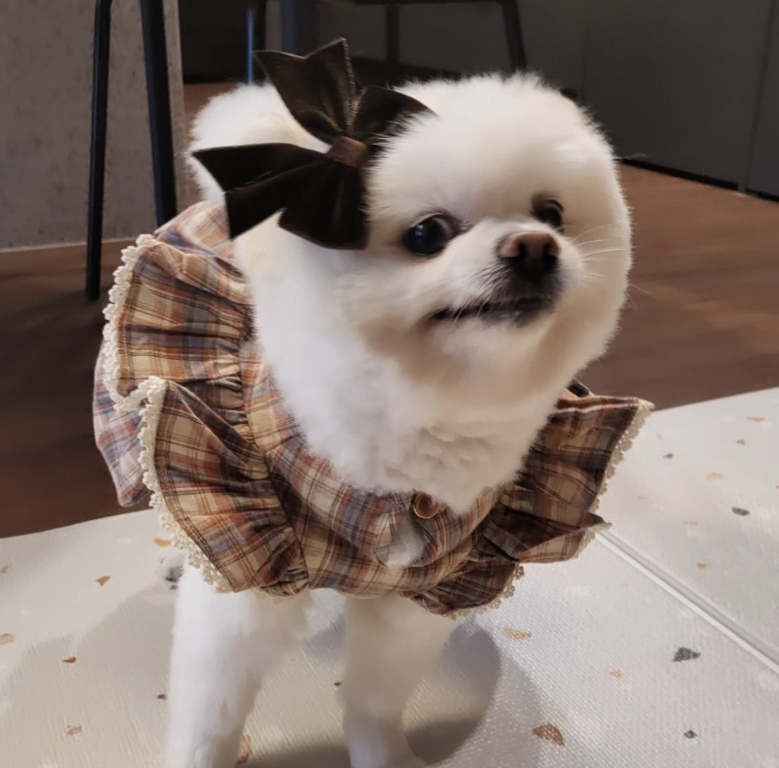 10화 이게 무야