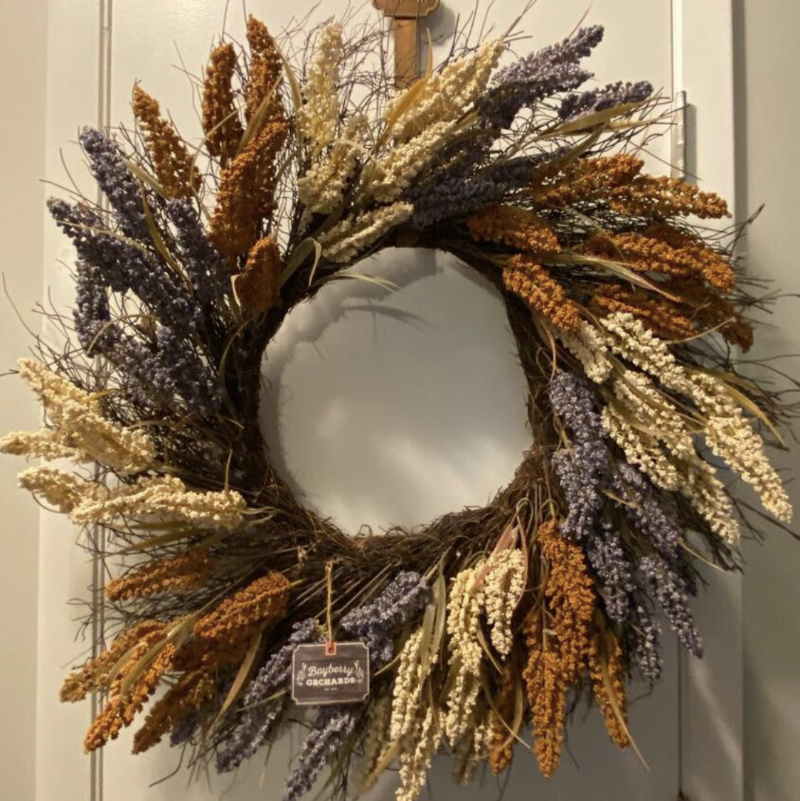 미국바보아줌마