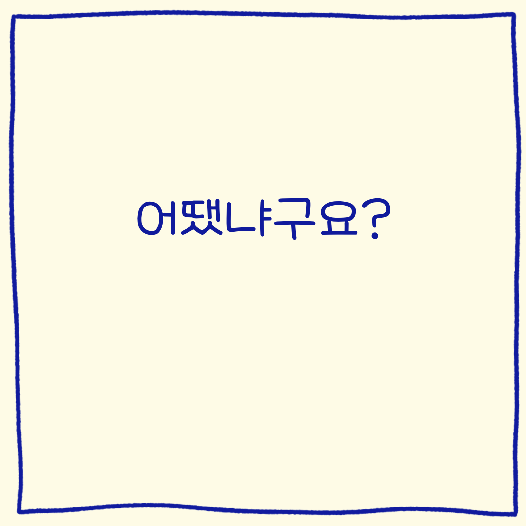11화 뉴욕 맛집 할랄가이즈 찐 리얼 후기