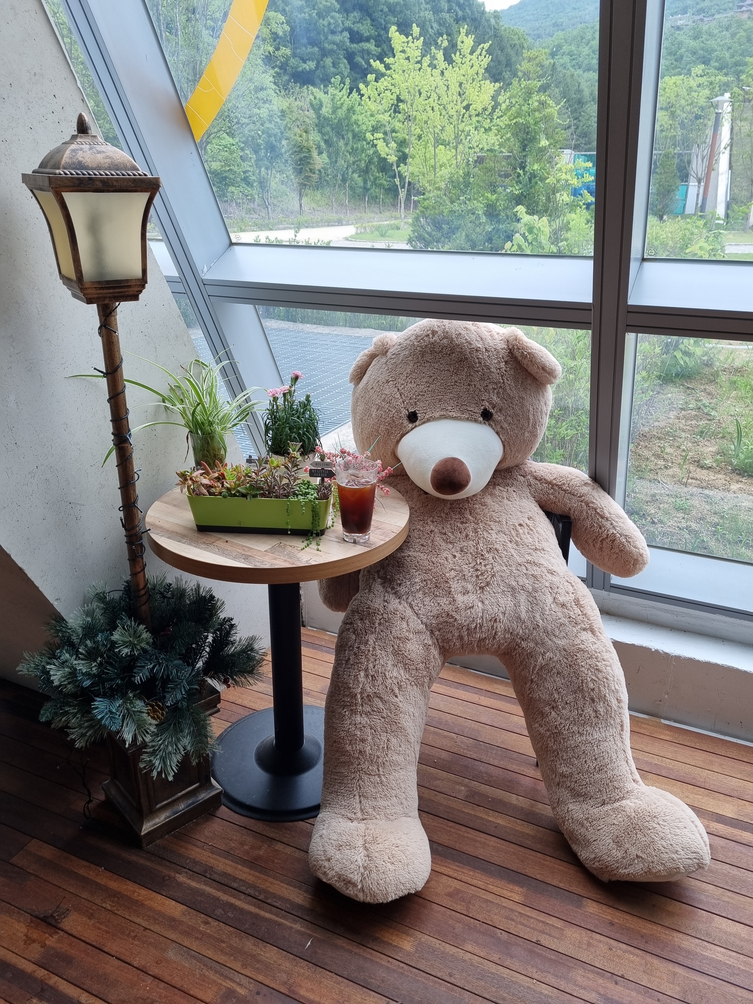 행곰