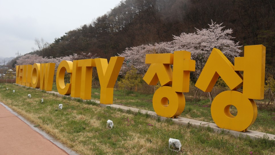 노랑꽃밭 이미지