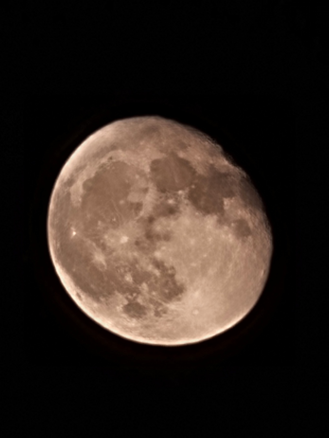 동화 실현 프로젝트