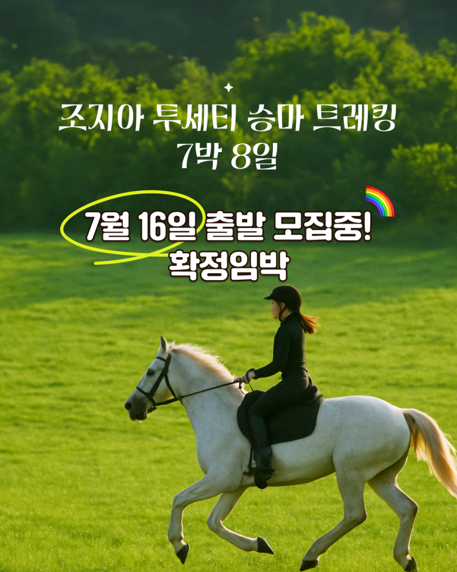 투어동행 이미지