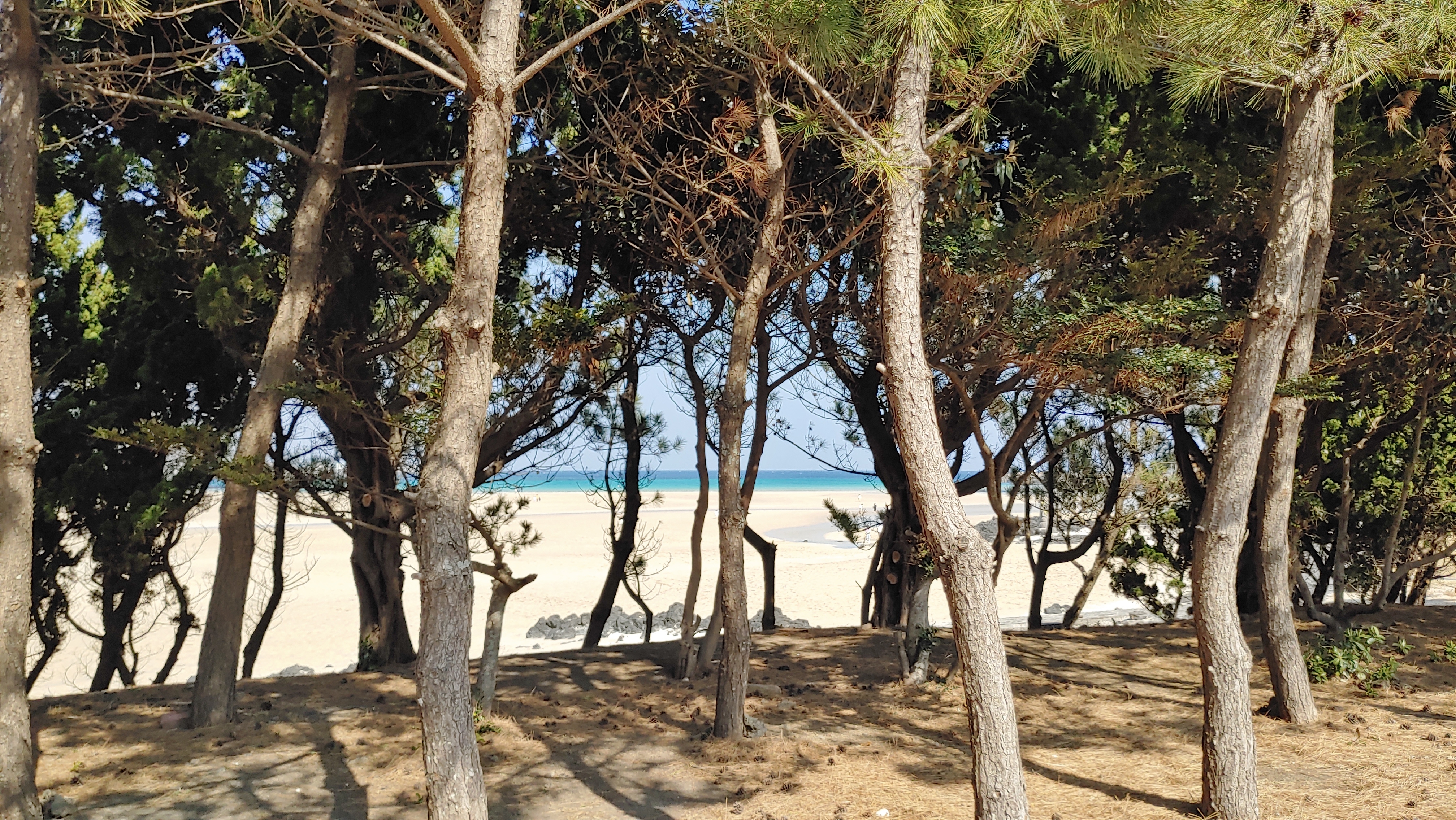 09화 제주 자연휴양림과 캠핑장
