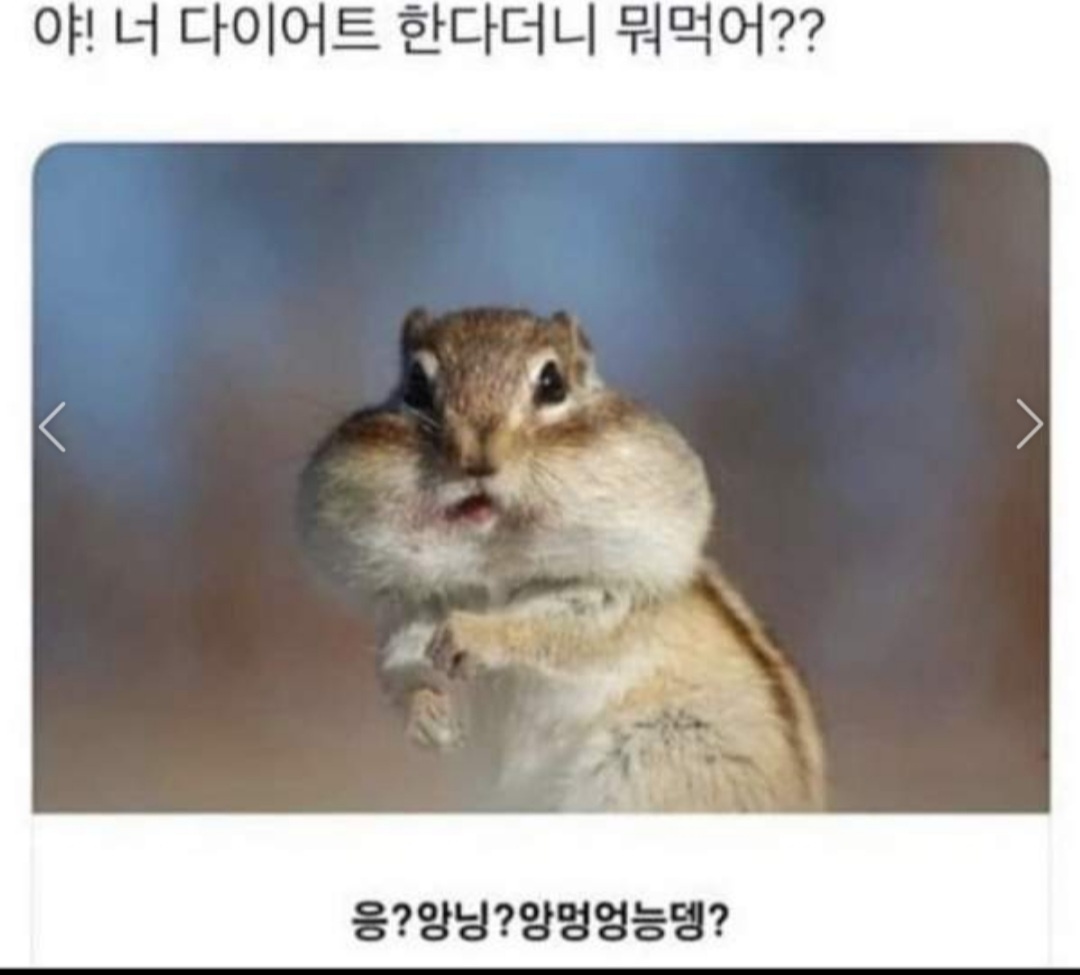 조울공무원 은혜