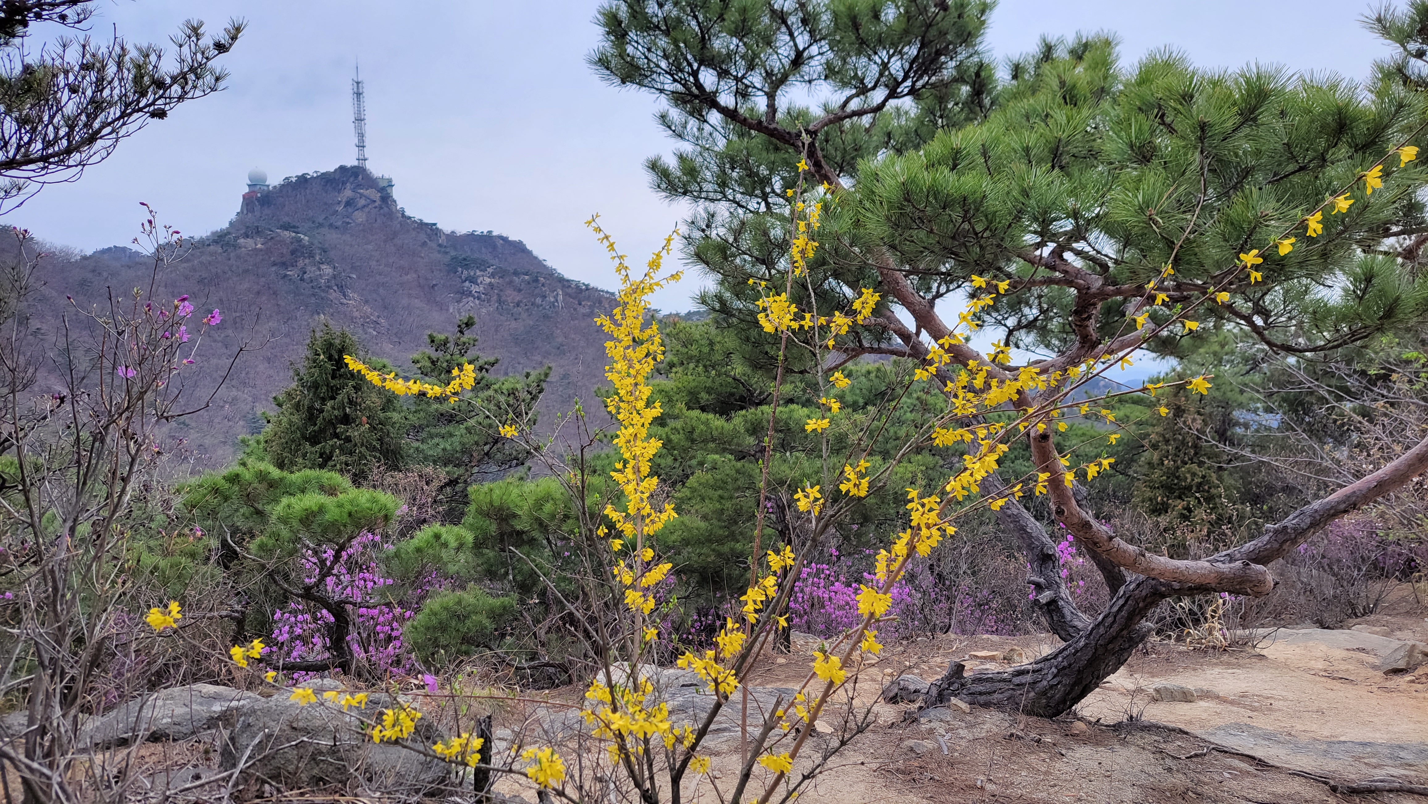 의료대란? 의대 정원을 살펴보니