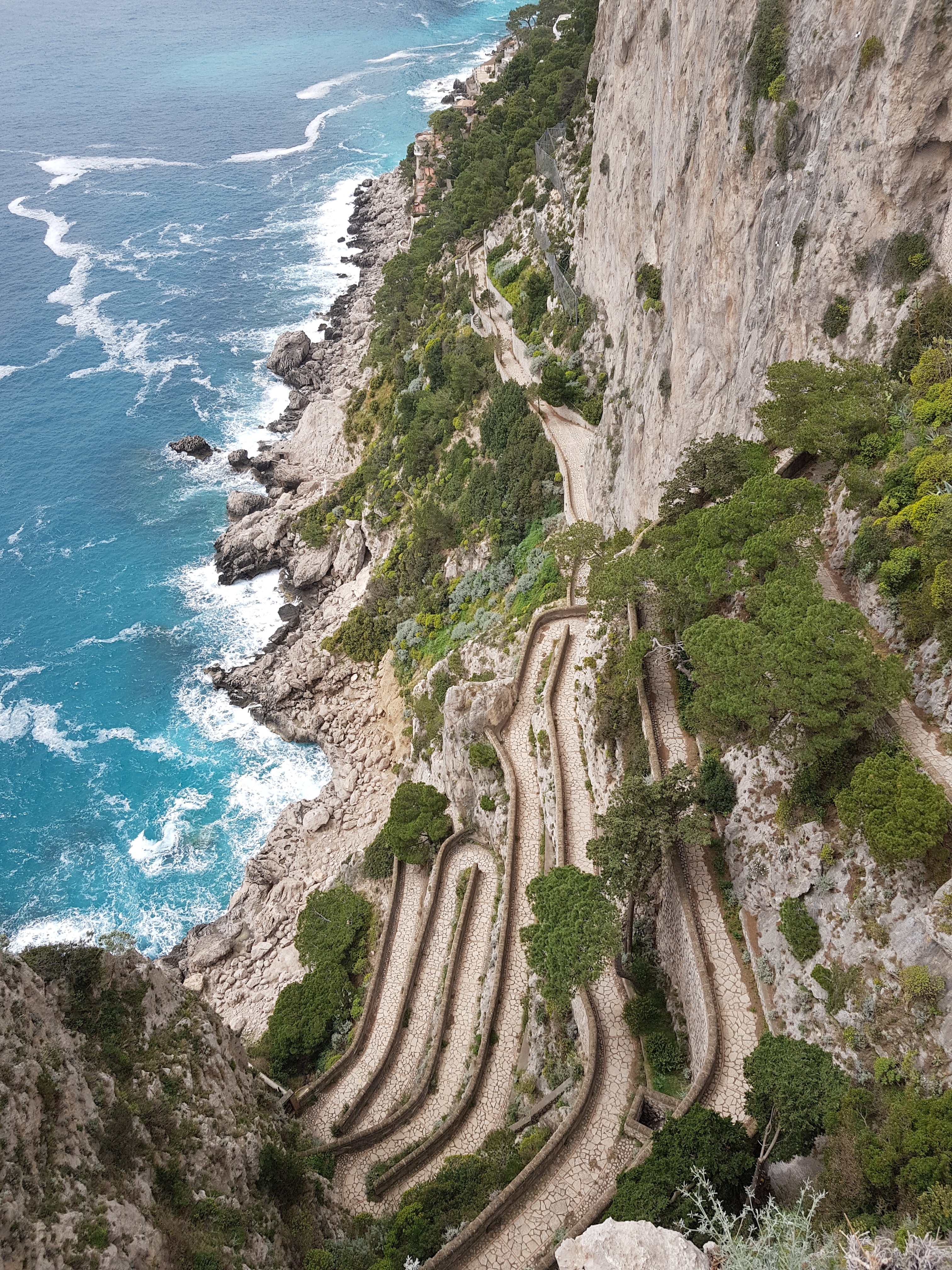 구독자만 하는걸로
