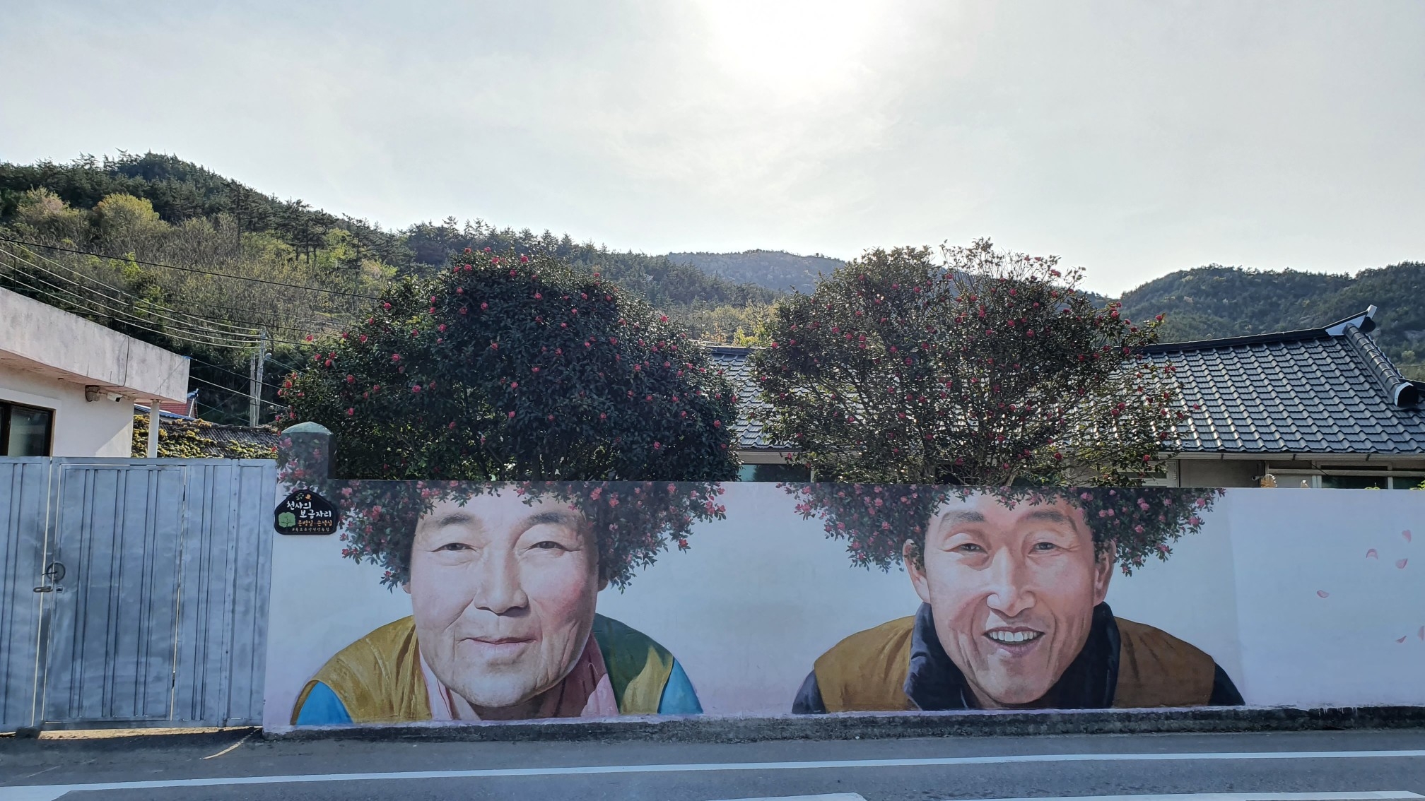 꼬시랑 이미지