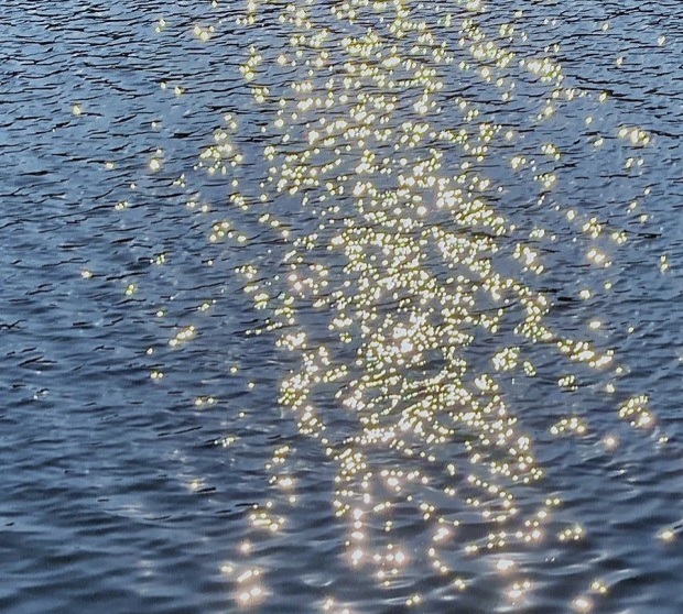 냉정과 열정 사이