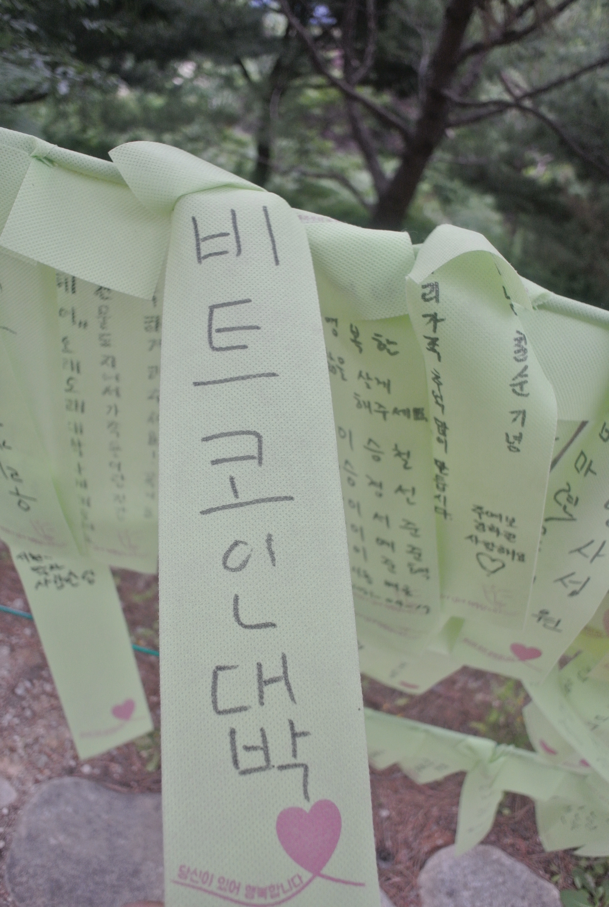 관음성지 낙산사 템플스테이 ④