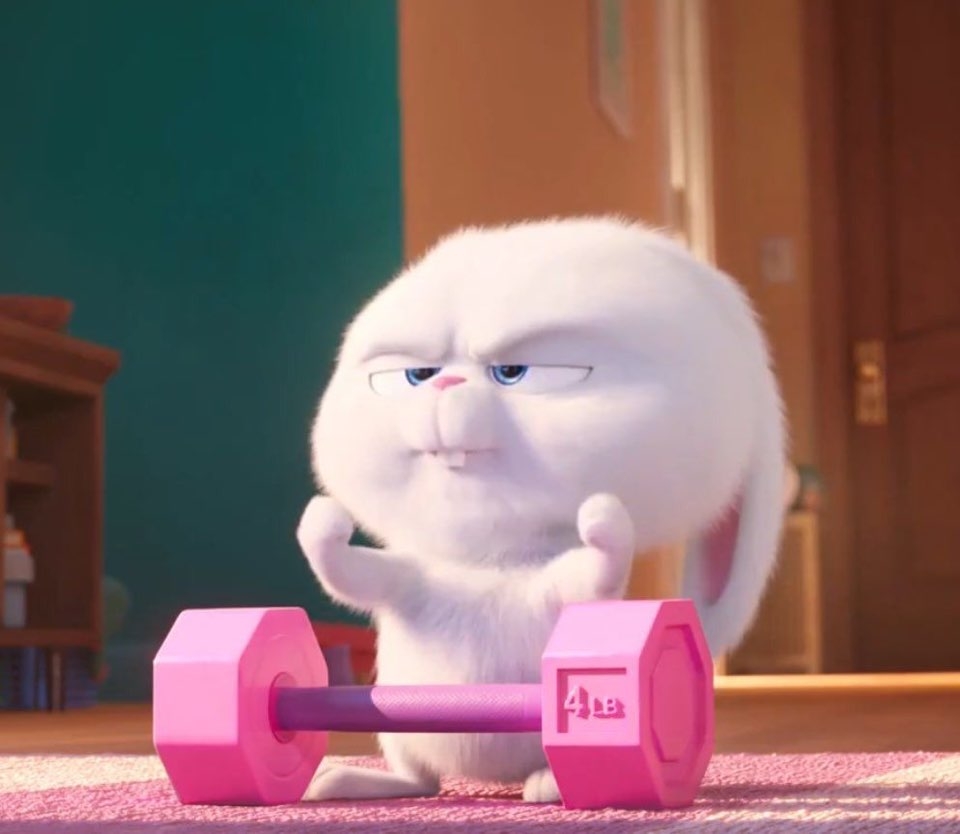앨리