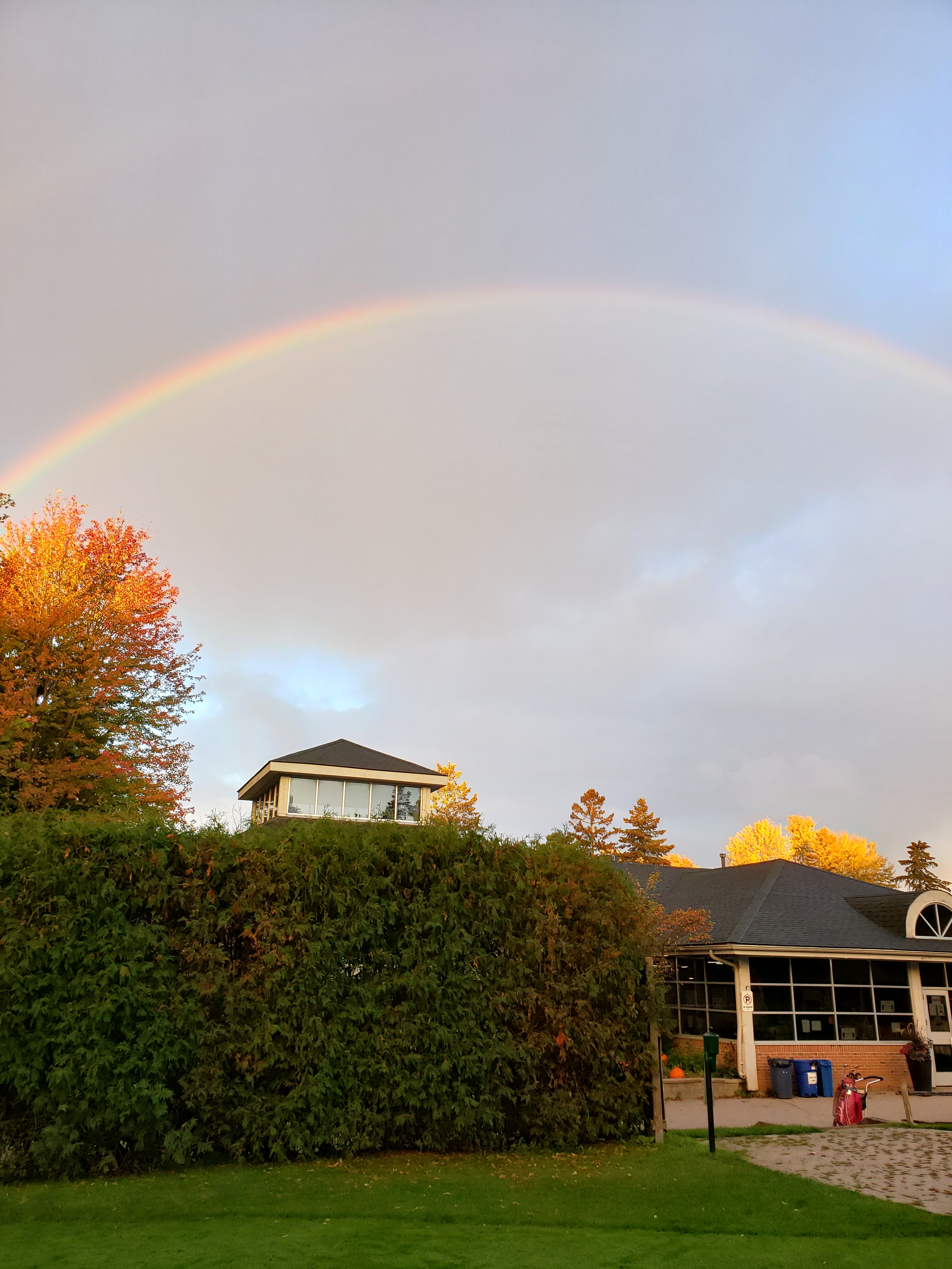 영국 로스쿨, 호주 로스쿨을 간다고?