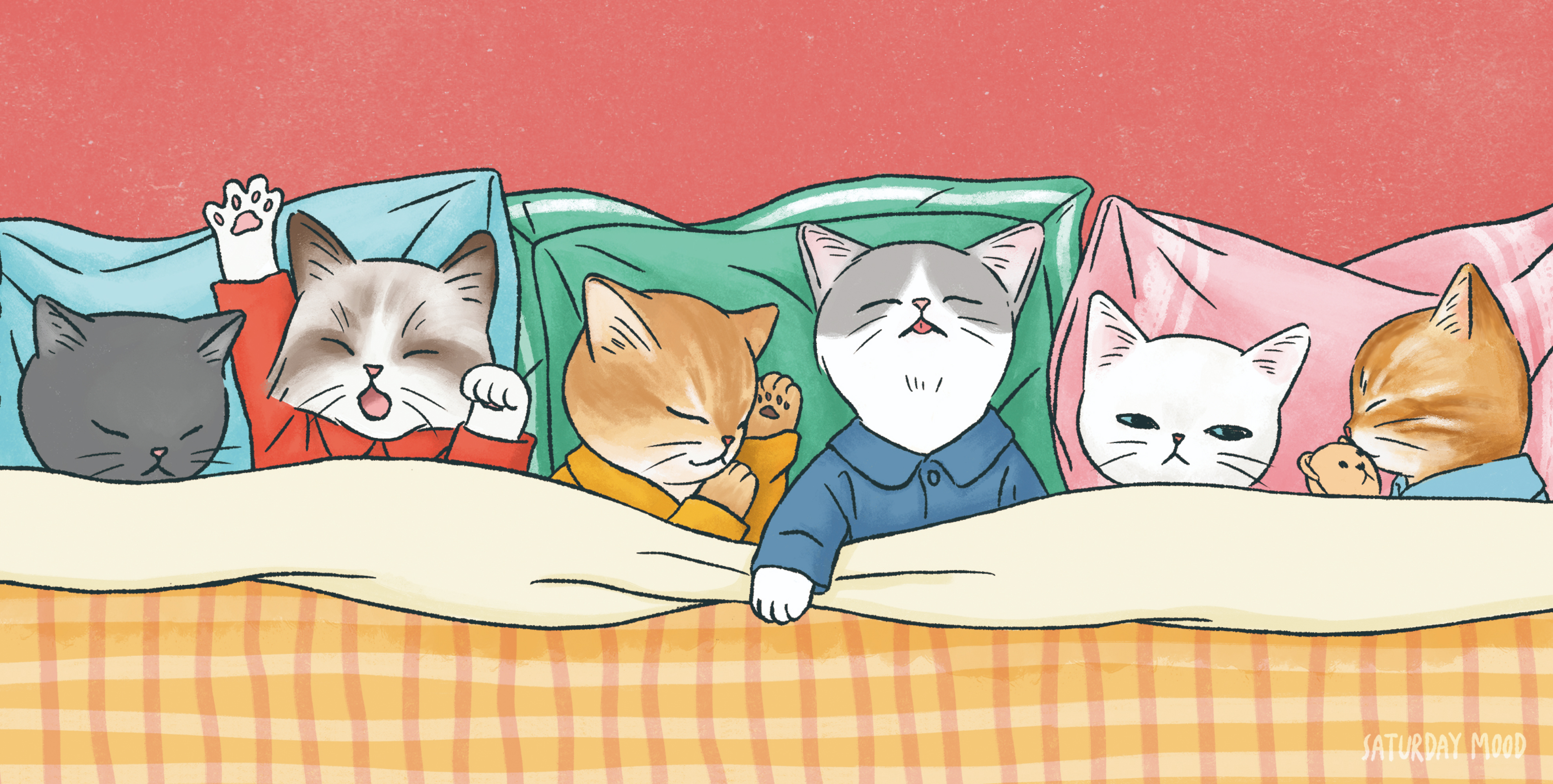 캔무드 이미지