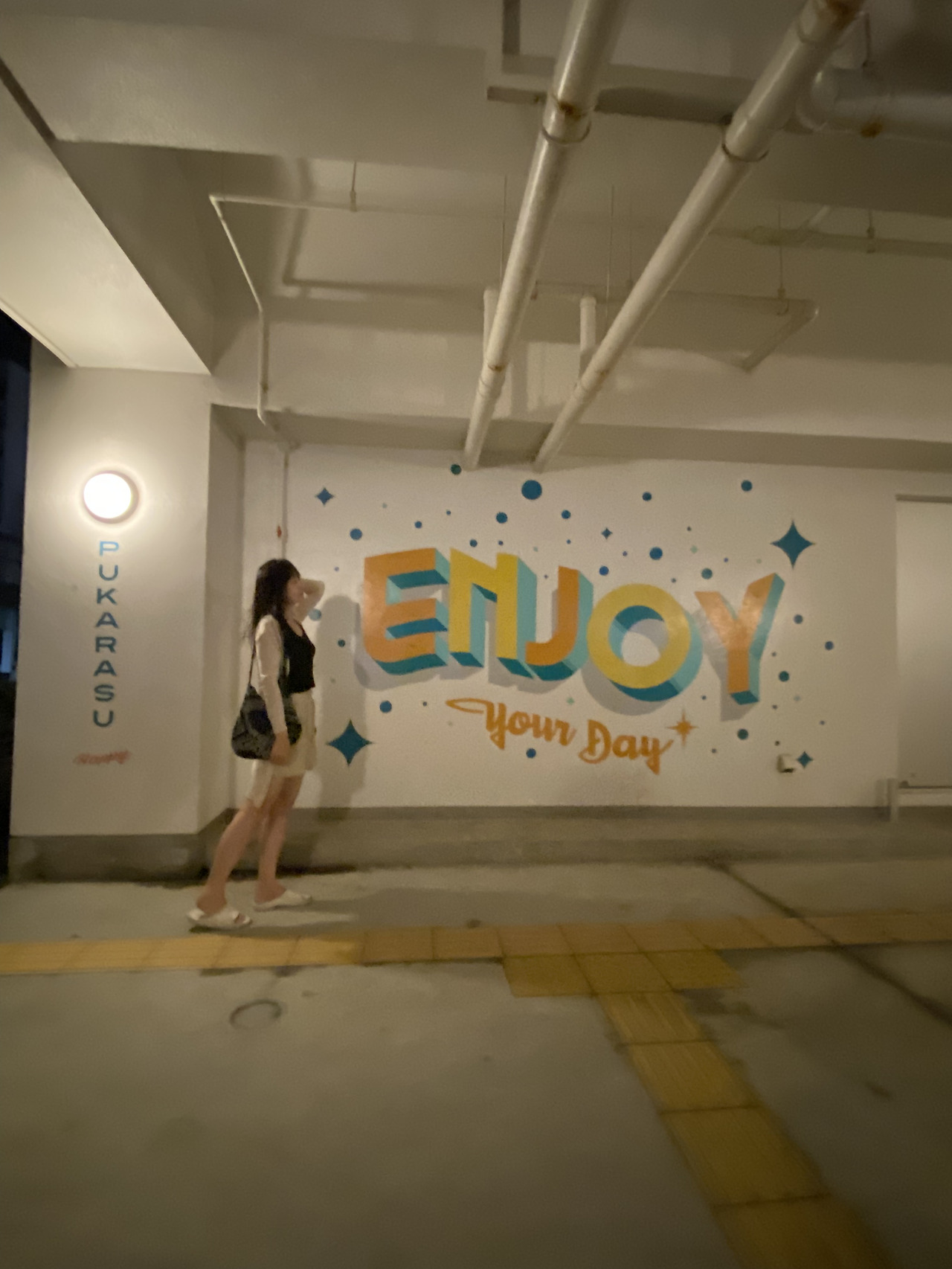 바카라읽는두부