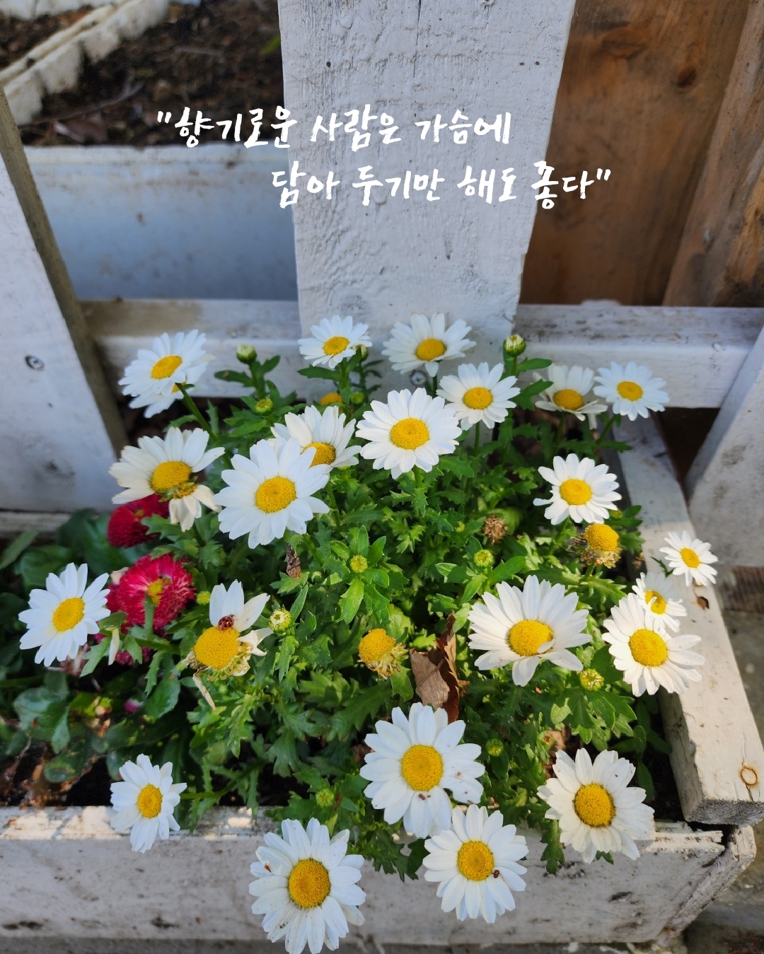 산들바람