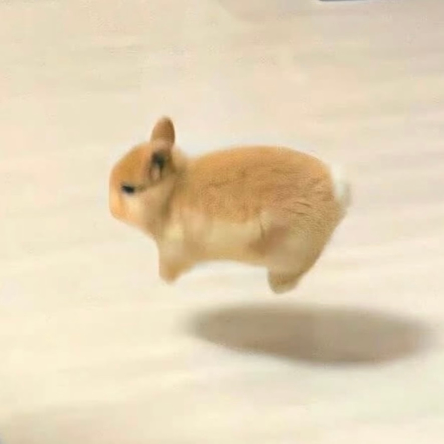 ㅊㅑ