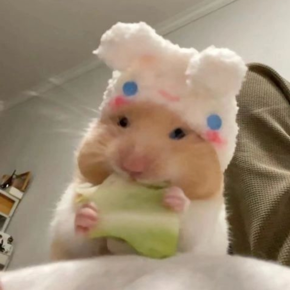 오르막에서평지로